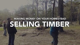 HOW TO MAKE MONEY on YOUR HOMESTEAD - Selling Timber