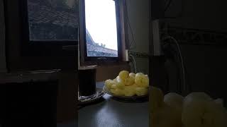 Download lagu singkong rebus dan kopi cocok buat musim hujan #shorts #yearofyou mp3