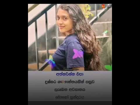 Sihinaye Mal Pipi -සිහිනයේ මල් පිපී- Edward Jayakody