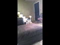 Koda Howling To J G Wentworth Commercial