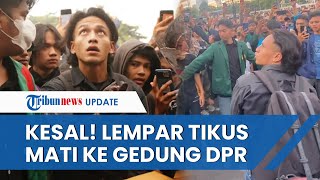 Kesal! Jefri Nichol Lempar Tikus Mati dan Payung Hitam di Depan Gedung DPR, Tolak UU Cipta Kerja
