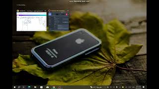 standard algorithm division 2 grade 5