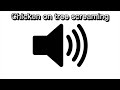 Chicken On Tree Screaming Viral Sound Effect Meme Sound