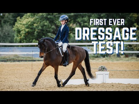 ROLO'S FIRST EVER DRESSAGE TEST!