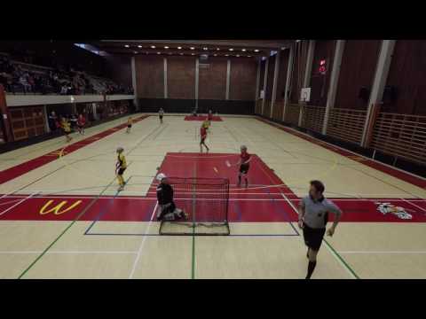 2017-04 Kuusankoski: Loppuottelu Sudet-03 vs Welhot-04, hopeamitalit tuloksella 7-6