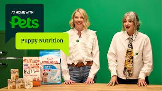 Puppy nutrition made simple | At Home with Pets