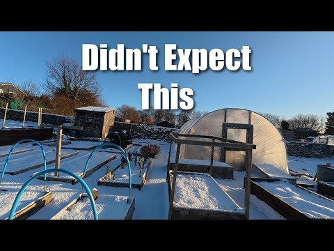 It's Pretty Bad Here