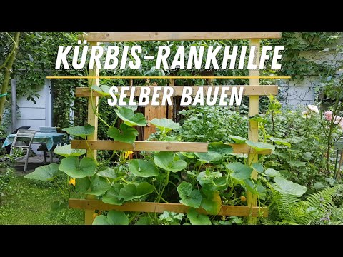 , title : '☯ Kürbis-Rankhilfe selber bauen (bei wenig Platz) ☯'
