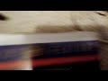 Stowaway 1995 VHS Review
