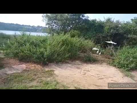 fishing in Lake 👍