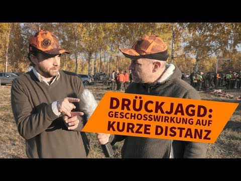 Drückjagd 2018: Was gilt es bei kurzen Schussentfernungen zu beachten?
