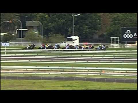2009 - Turnpoint Royal Randwick Guineas - Metal Bender