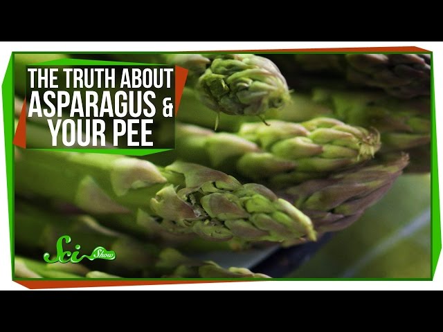 Video Aussprache von asparagusic in Englisch