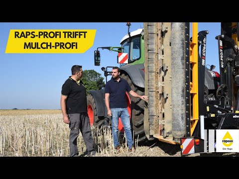 RAPOOL Rapsprofi trifft MÜTHING Mulchprofi - Stoppelbearbeitung nach Raps