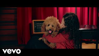 Alessia Cara - The Use In Trying (Lyric Video)