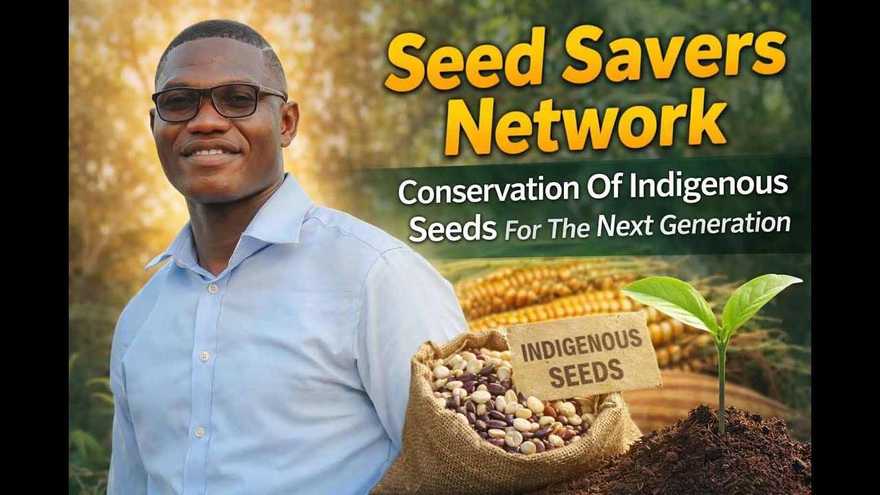 Kenya's Seed Savers Network: Conservation Of Indigenous Seeds For The Next Generation