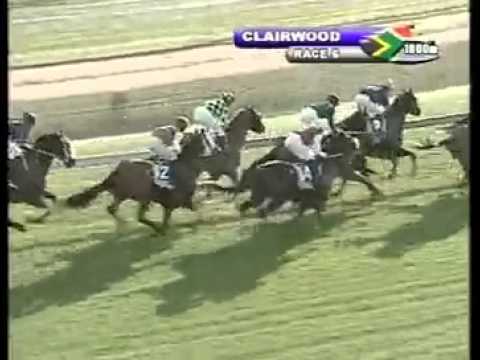 One Cool Dude - 2nd win - Racing Association