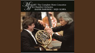 Download lagu Horn Concerto No. 2 in E-flat Major, K. 417  III. Rondo. Allegro mp3 Download lagu Horn Concerto No. 2 in E-flat Major, K. 417  III. Rondo. Allegro mp3
