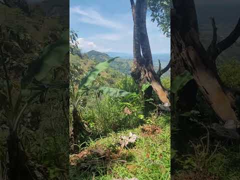 Restaurante Anayacito. Doncello, Caquetá