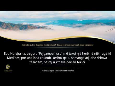 Sahih Buhari - Hadith 201 - Për djersën e njeriut xhunub dhe se besimtari kurrë nuk bëhet i papastër