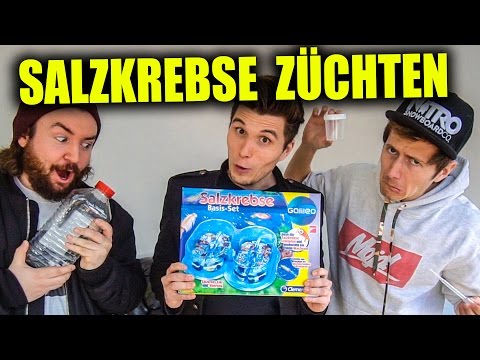 Osteochondrose der Lendenwirbelsäule gibt im linken Bein Ziehen Schmerzen im Bauch und die unteren Rücken nach dem Eisprung