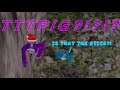 Trolling As TTTPIG Stick Justice Gorilla Climbers