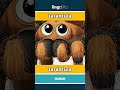 tarantula - tarántula video thumbnail