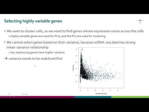 scRNA seq  Identify highly variable genes