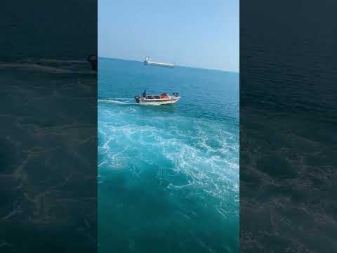 Beautiful Sentiment Island 🇧🇩 #bangladesh #youtubeshorts #nature