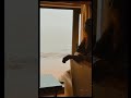 Hum Tum Kitne Paas Hai Kitne Door Hai Chand Sitaare Edit On Shreya Ghoshal Shreyaghoshal