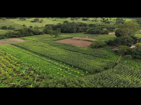 Mato Grosso - São José dos Quatro Marcos - Assentamento PA AMPAFAD