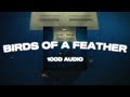 Billie Eilish BIRDS OF A FEATHER 100D AUDIO