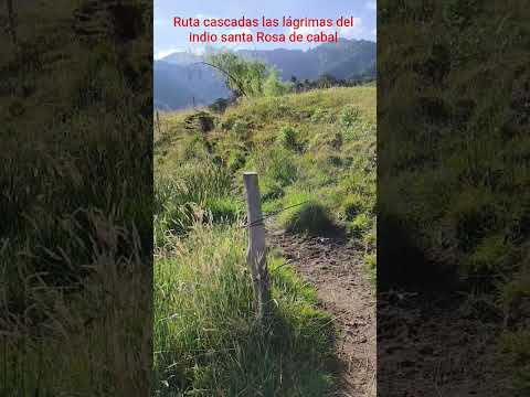 Ruta cascadas las lágrimas del indio santa Rosa de cabal#turismo #naturaleza #montaña #
