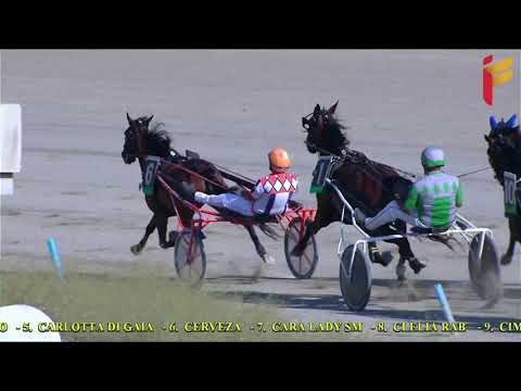 I Corsa del 18 Agosto 2021   Metri 1600   3 anni Maiden