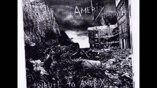 VA -  Amebix Japan (2005)