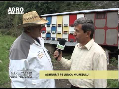 Albinarit pe lunca muresului