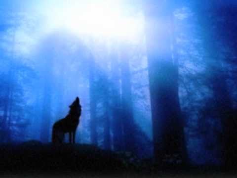 -FAMILIA- Productions WolfTrail (instrumental)