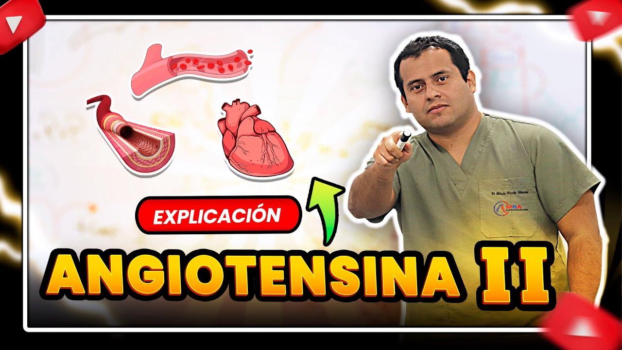 ANGIOTENSINA II - EXPLICACIÓN FÁCIL Y CLARA