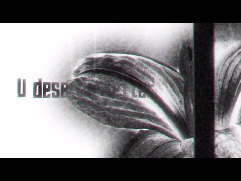 U deserVe Better (Official Lyrics Video)