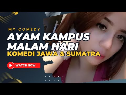komedi-lucu-ayam-kampung-atau-ayam-kampus