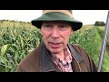 Nederland telt 600 duizend wilde ganzen, die veel schade aan natuur veroorzaken.