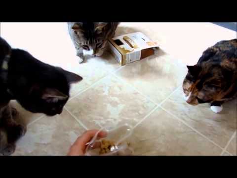 Review: Nature's Variety Instinct Raw Freeze-Dried Cat...