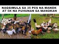 Paano Magparami Ng Manok