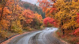 Hammock - (Leaving) The House Where We Grew Up