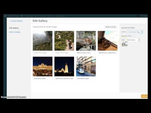 How to Set up a Photo Gallery on Your WordPress Site