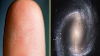 7 BIZARRE Human Consciousness Theories