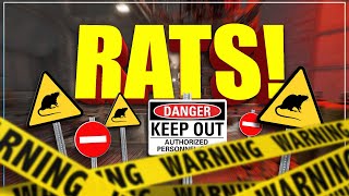 These RATS are getting out of hand!! *Plunder Update* - (Marauders Gameplay)