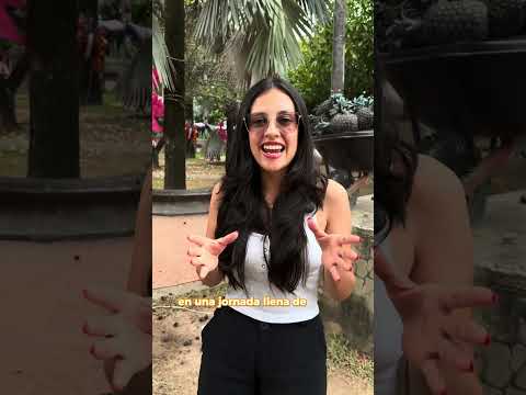 2° Concurso y Desfile de Carrozas y Comparsas