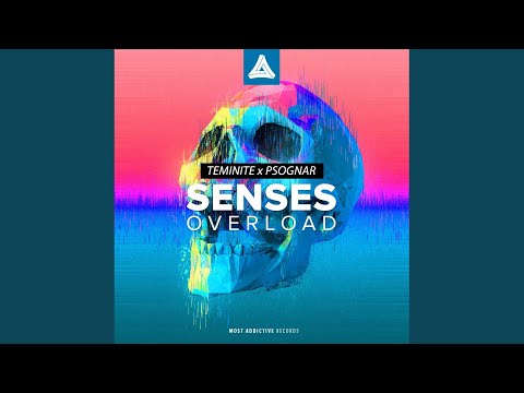 Senses Overload (Original Mix)
