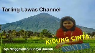 Download lagu Kidung Cinta - Wati S mp3 Download lagu Kidung Cinta - Wati S mp3
